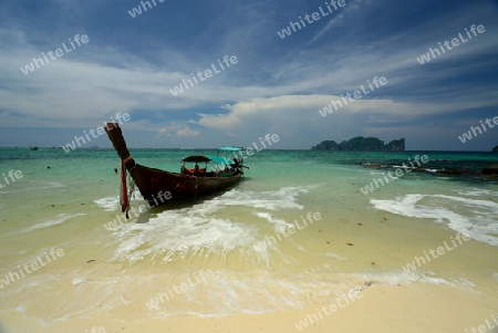 A Beach on the Island of Ko PhiPhi on Ko Phi Phi Island outside of the City of Krabi on the Andaman Sea in the south of Thailand. 