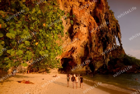 The Hat Phra Nang Beach at Railay near Ao Nang outside of the City of Krabi on the Andaman Sea in the south of Thailand. 