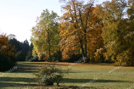 Neuer Garten in Potsdam