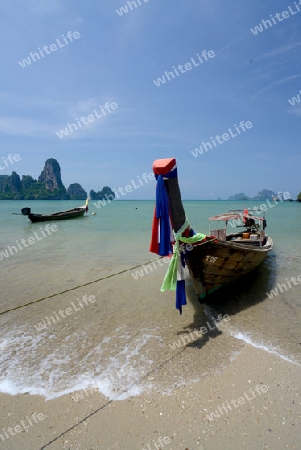 The Hat Tom Sai Beach at Railay near Ao Nang outside of the City of Krabi on the Andaman Sea in the south of Thailand. 