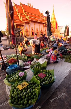 Der Markt vor dem Wat Mung Muang am Morgen in der Altstadt von Chiang Rai in der Provinz chiang Rai im Norden von Thailand in Suedostasien.