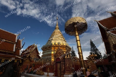 Der Chedi der Tempel Anlage des Wat Phra That Doi Suthep bei Chiang Mai in der Provinz Chiang Mai im Norden von Thailand in Suedostasien.