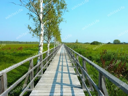 Steg am Federsee