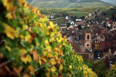 the olt town of the village of Riquewihr in the province of Alsace in France in Europe