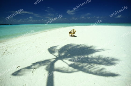 
Der Traumstrand mit Palmen und weissem Sand an der Insel Velavaru im Southmale Atoll auf den Inseln der Malediven im Indischen Ozean.   