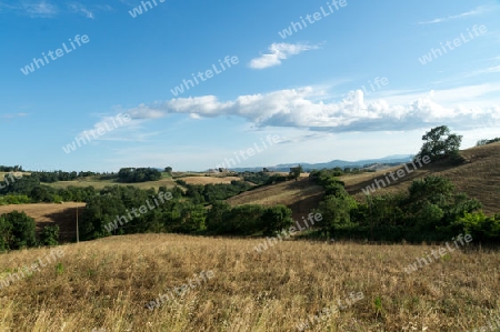 Toskanische Landschaft