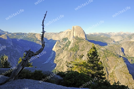 Half Dome, gesehen vom Glacier Point , Yosemite Nationalpark, Kalifornien, USA