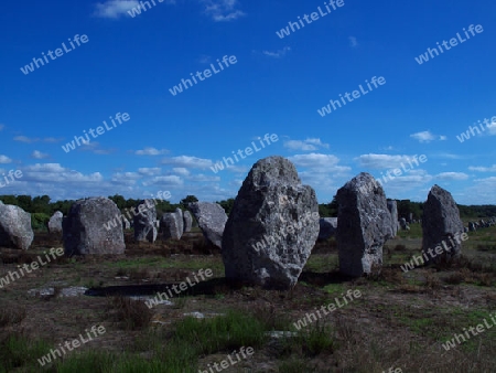 Detail der Alligments bei Carnac