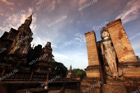 Eine stehende Buddha Figur  im Wat Mahathat Tempel in der Tempelanlage von Alt-Sukhothai in der Provinz Sukhothai im Norden von Thailand in Suedostasien.