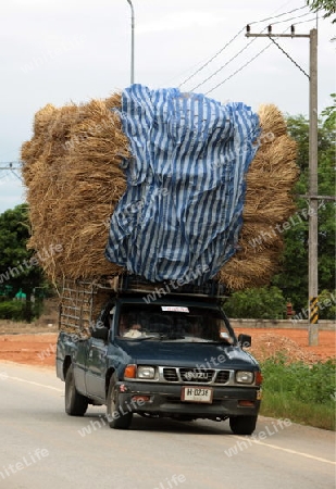 Ein Stroh Transport beim Dorf Fang noerdlich von Chiang Mai im Norden von Thailand. 