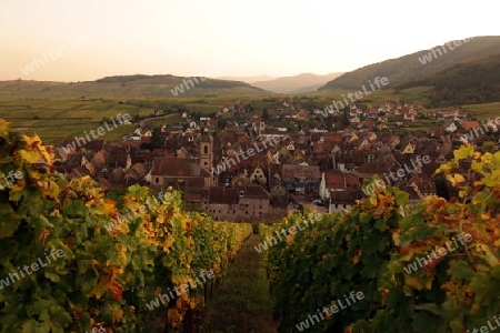 the olt town of the village of Riquewihr in the province of Alsace in France in Europe