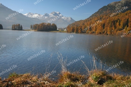 Herbsstimmung am Champfersee