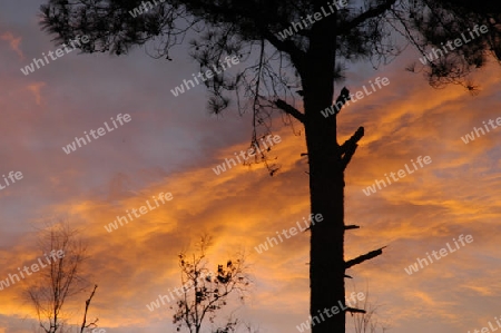 der himmel ?ber bukitinggi 2