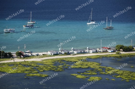 Suedamerika, Karibik, Venezuela, Nord, Choroni, National Park Hanri Pittier, Landwirtschaft, Arbeit, Gas, Energie, Umwelt, Warten, Anstehen, Transport, Bergdorf, Wochenlieferung, Handel,  Wirtschaft, Mann Wasserlandschaf