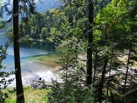 Bucht am Eibsee