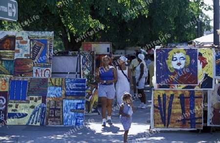 a Market street in the old town of the city Havana on Cuba in the caribbean sea.