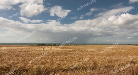 Landschaft an der K?hlung, Ostsee,  Mecklenburg-Vorpommern