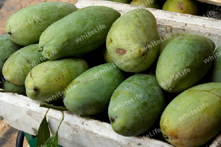 Mangos