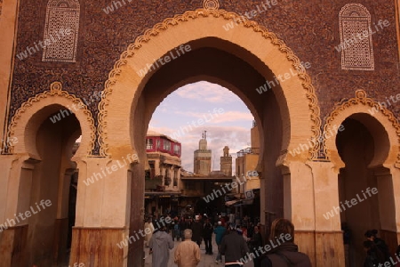 The blue Gate at the Bab Bou Jeloud in the old City in the historical Town of Fes in Morocco in north Africa.