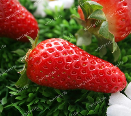 Erdbeeren