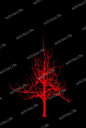 Roter Baum