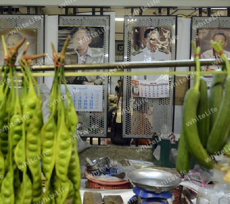 Ein Bild des Thailaendischen Koenig Bhumibol in den Strassen von Bangkok , der Hauptstadt von Thailand in Suedostasien, 