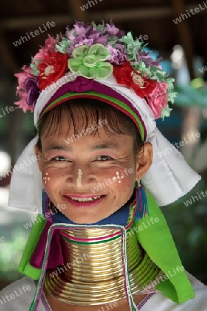 Eine Traditionell gekleidete Langhals Frau eines Paudang Stammes aus Burma lebt in einem Dorf noerdlich von Chiang Mai in Nord Thailand.