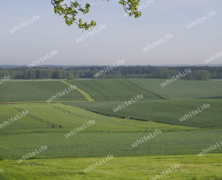 Welliges Land - Landkreis F?rstenfeldbruck, Bayern