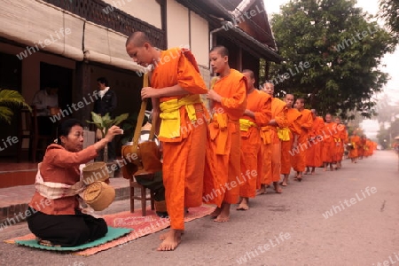 Moenche am fruehen Morgen beim einsammeln von Reis in der Altstadt von Luang Prabang in Zentrallaos von Laos in Suedostasien.  