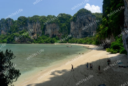 The Hat Tom Sai Beach at Railay near Ao Nang outside of the City of Krabi on the Andaman Sea in the south of Thailand. 