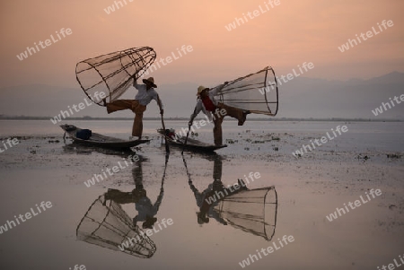 Fishermen at sunrise in the Landscape on the Inle Lake in the Shan State in the east of Myanmar in Southeastasia.