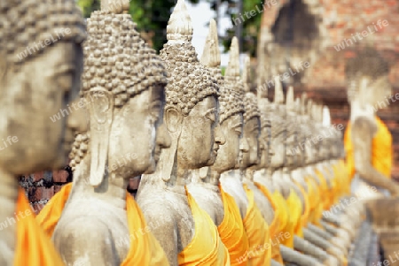 The Wat Yai Chai Mongkol Temple in City of Ayutthaya in the north of Bangkok in Thailand, Southeastasia.