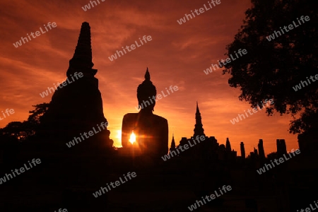 Eine Buddha Figur  im Wat Mahathat Tempel in der Tempelanlage von Alt-Sukhothai in der Provinz Sukhothai im Norden von Thailand in Suedostasien.