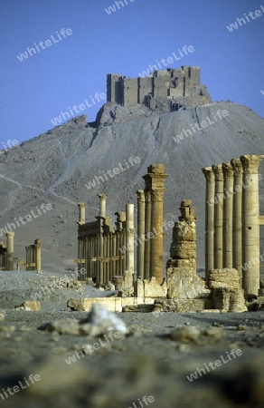 Die Ruinen von Palmyra in der Wueste Faydat in Syrien im Mittleren Osten in Arabien.