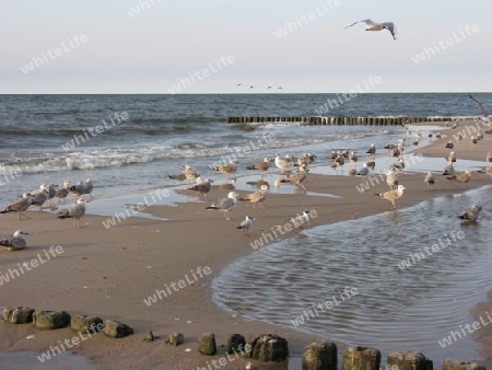 Strand an der Ostsee 