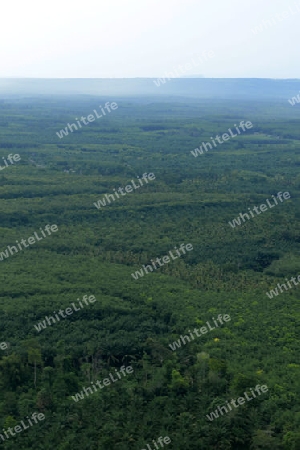 The Mountains with palmoil plantations near the City of Krabi on the Andaman Sea in the south of Thailand. 