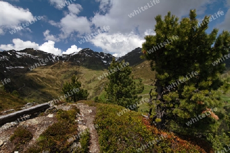 Zillertaler Berge, Oesterreich