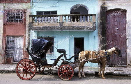 a horse cart Taxi transport in the old town of cardenas in the provine of Matanzas on Cuba in the caribbean sea.