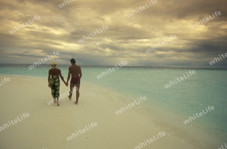 
Der Traumstrand mit Palmen und weissem Sand an der Insel Velavaru im Southmale Atoll auf den Inseln der Malediven im Indischen Ozean.   