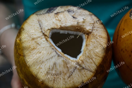 King Coconut - Erfrischungsgetr?nk in Sri Lanka