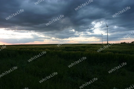 Windr?der unter Wolken