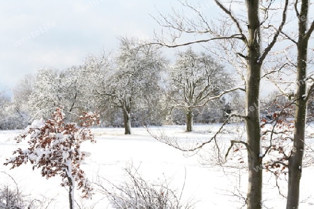 Winterlandschaft