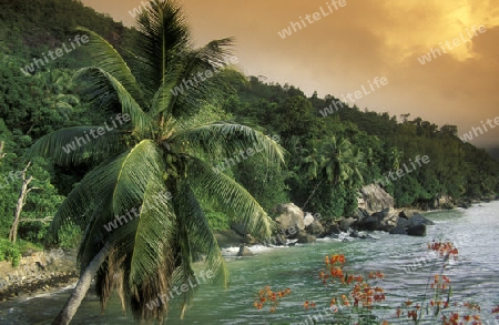 Die Landschaft auf der Insel Mahe auf den Seychellen im Indischen Ozean.