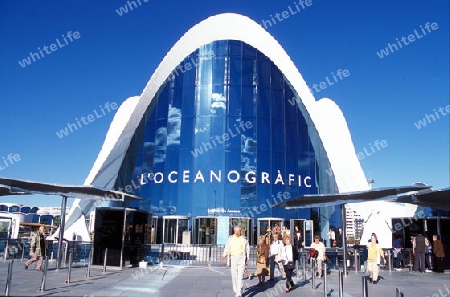 Das L Oceanografic im Modernen Stadtteil von Valenzia in Spanien in Europa.