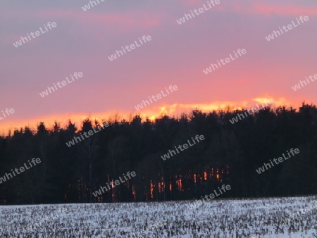 Sonnenuntergang hinterm Wald