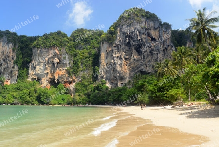 The Hat Tom Sai Beach at Railay near Ao Nang outside of the City of Krabi on the Andaman Sea in the south of Thailand. 