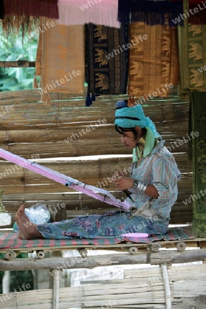 Eine Traditionell gekleidete Langhals Frau eines Paudang Stammes aus Burma lebt in einem Dorf noerdlich von Chiang Mai in Nord Thailand