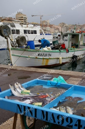 Marseille