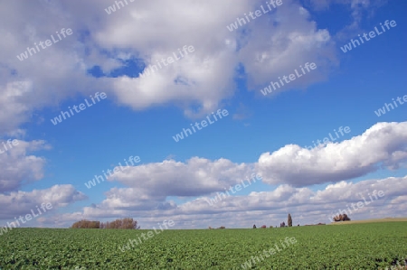 Wolken mit Galgenb?ume