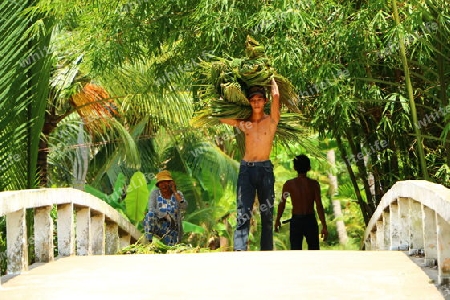 Vietnamesischer Mann